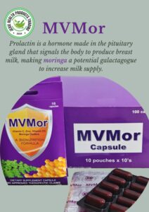 a6ce84dd-a197-4cf6-a885-f5d2c959c9b9